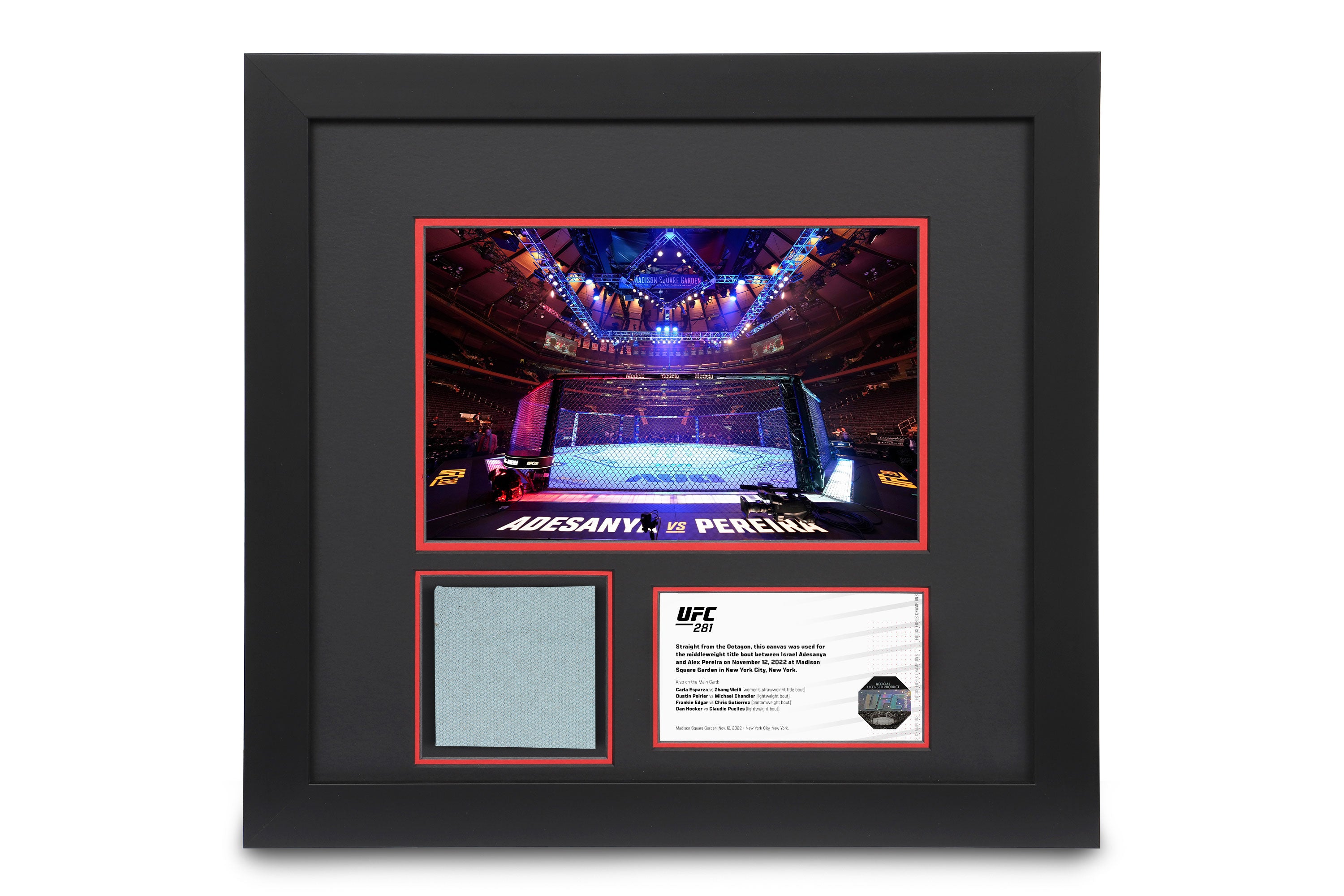 Framed UFC Collectible! 1 shops of 1!