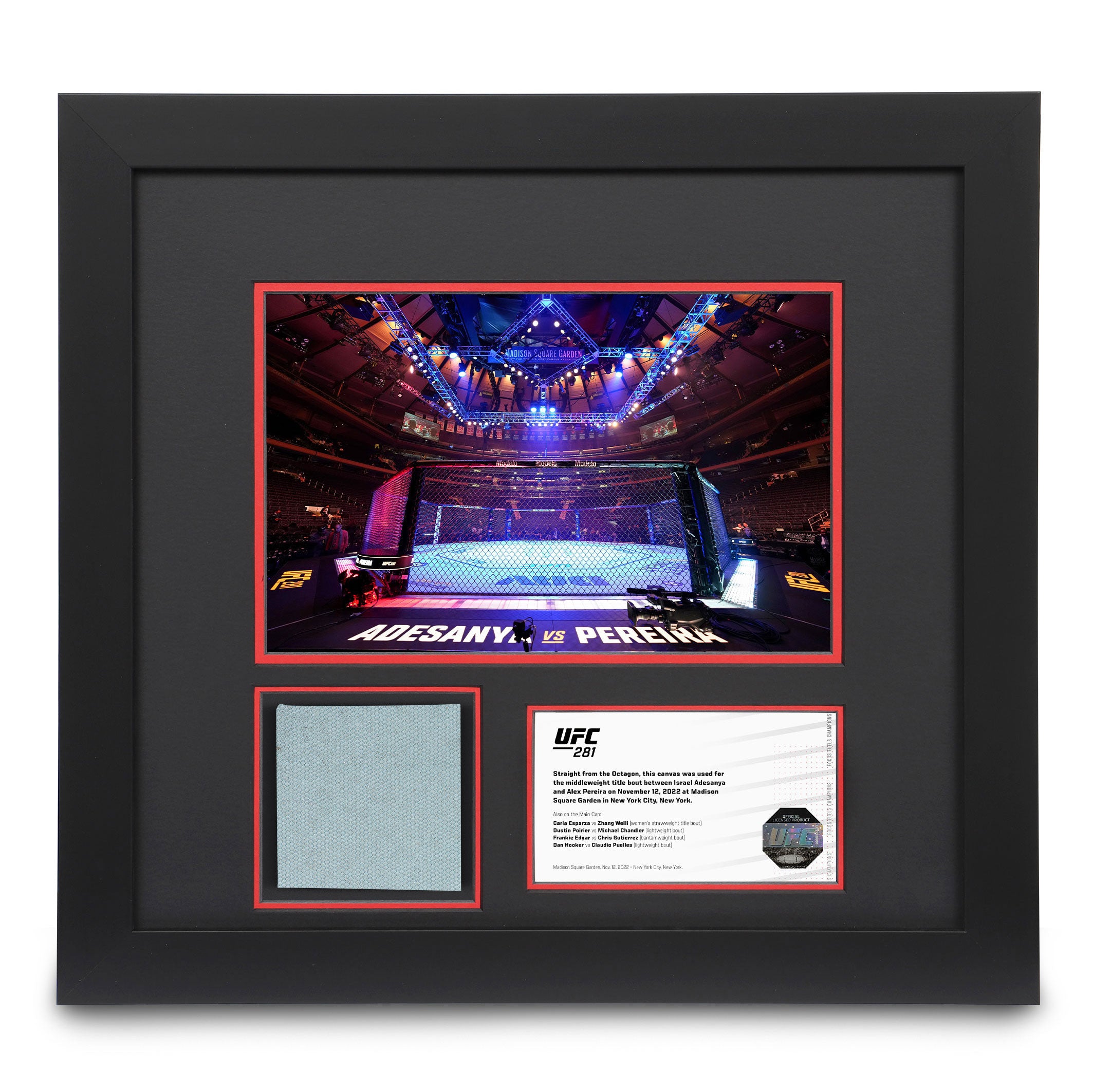 UFC 281 Canvas & Photo