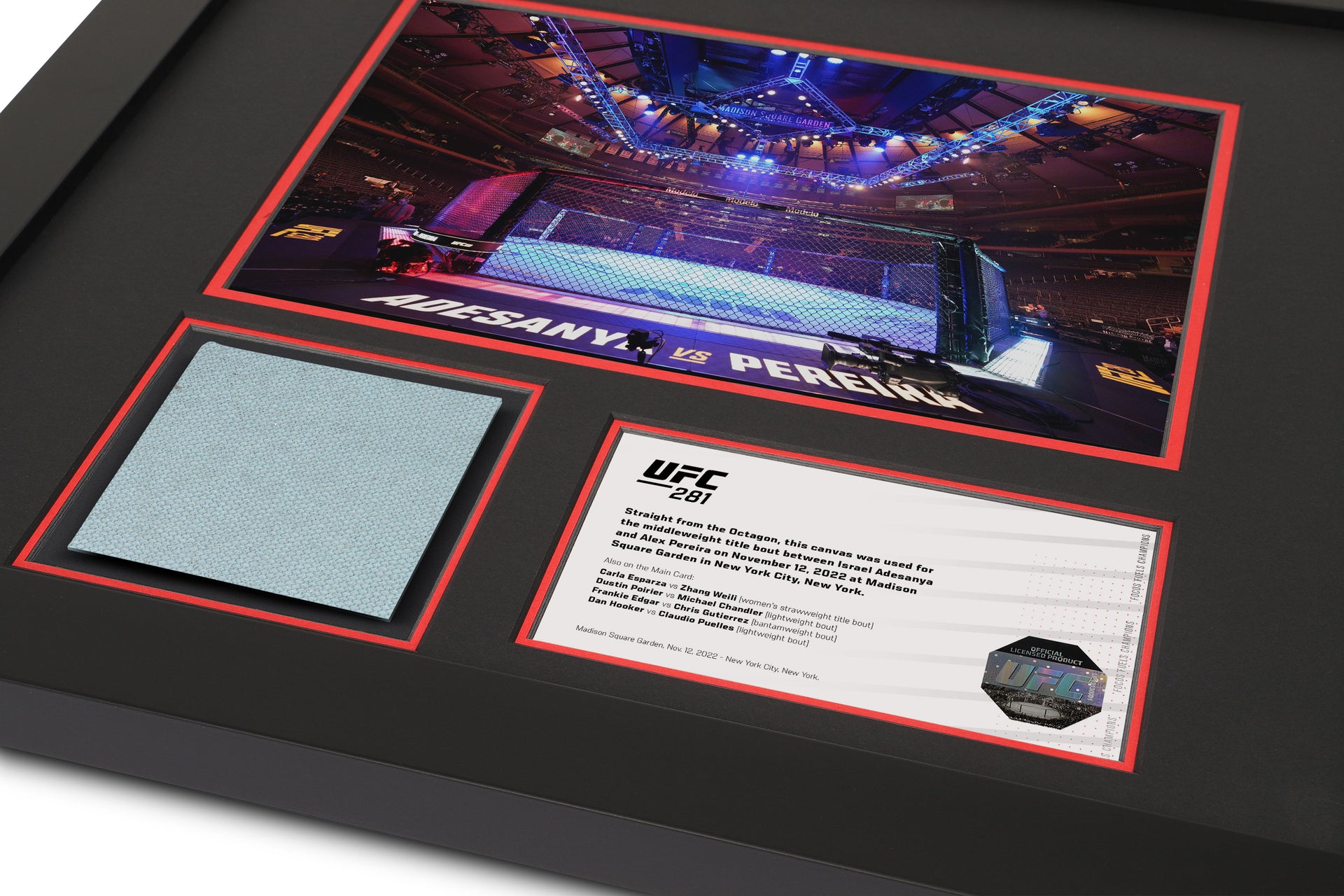 UFC 281: Adesanya vs Pereira Canvas & Photo - Octagon