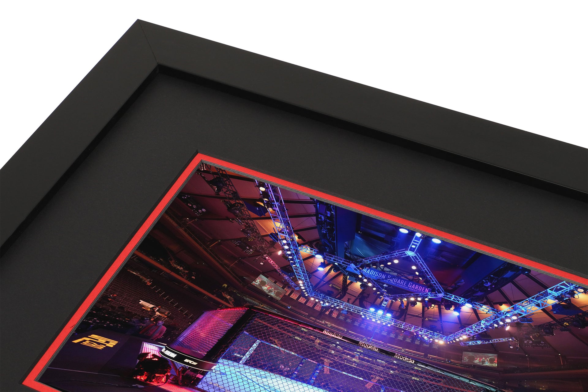 UFC 281: Adesanya vs Pereira Canvas & Photo - Octagon