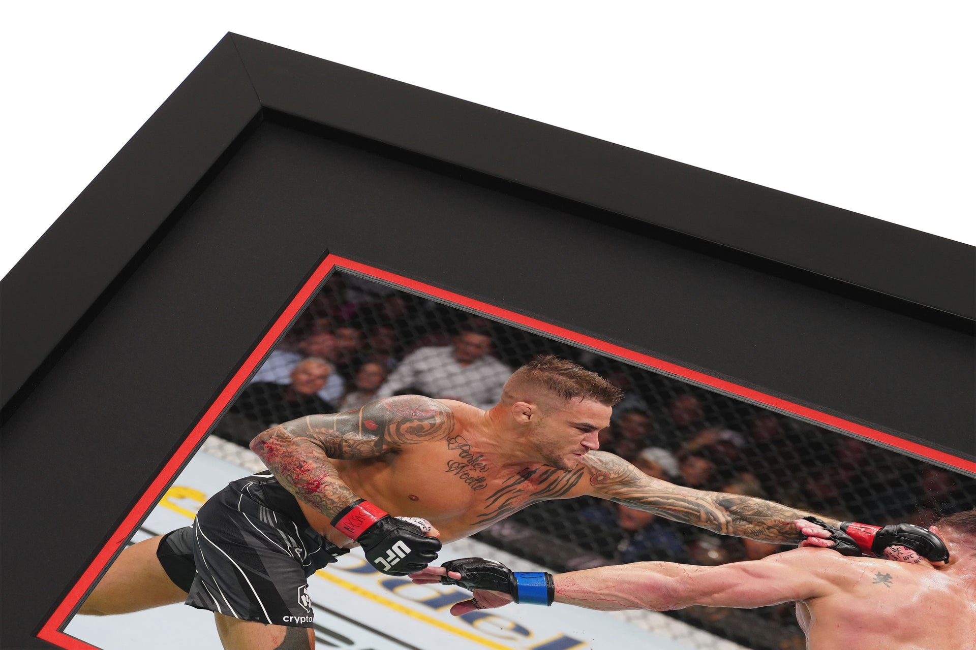 UFC 281: Poirier vs Chandler Canvas & Photo