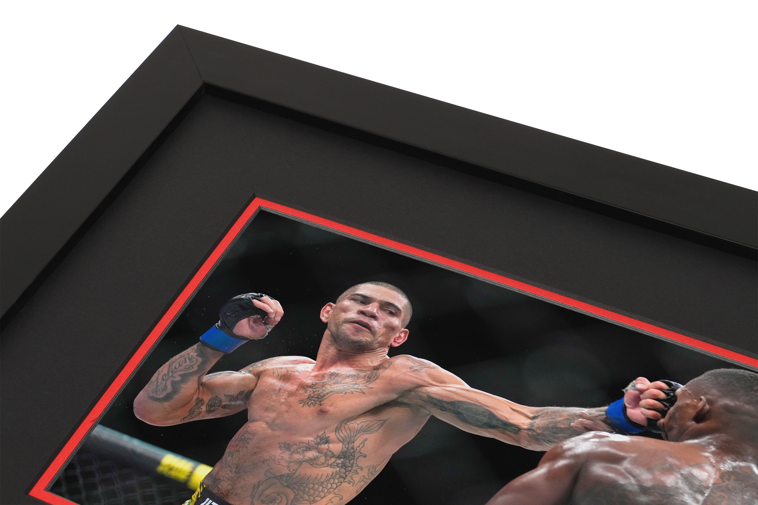 UFC 281: Adesanya vs Pereira Canvas & Photo