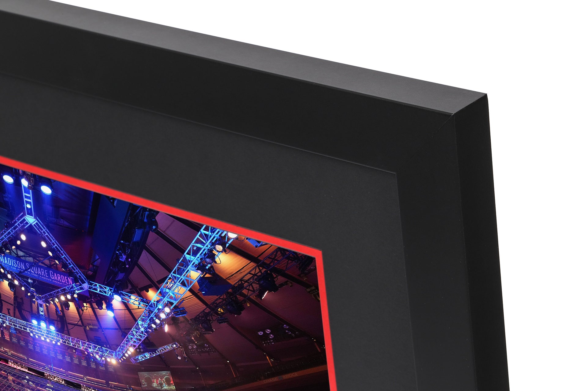 UFC 281: Adesanya vs Pereira Canvas & Photo - Octagon