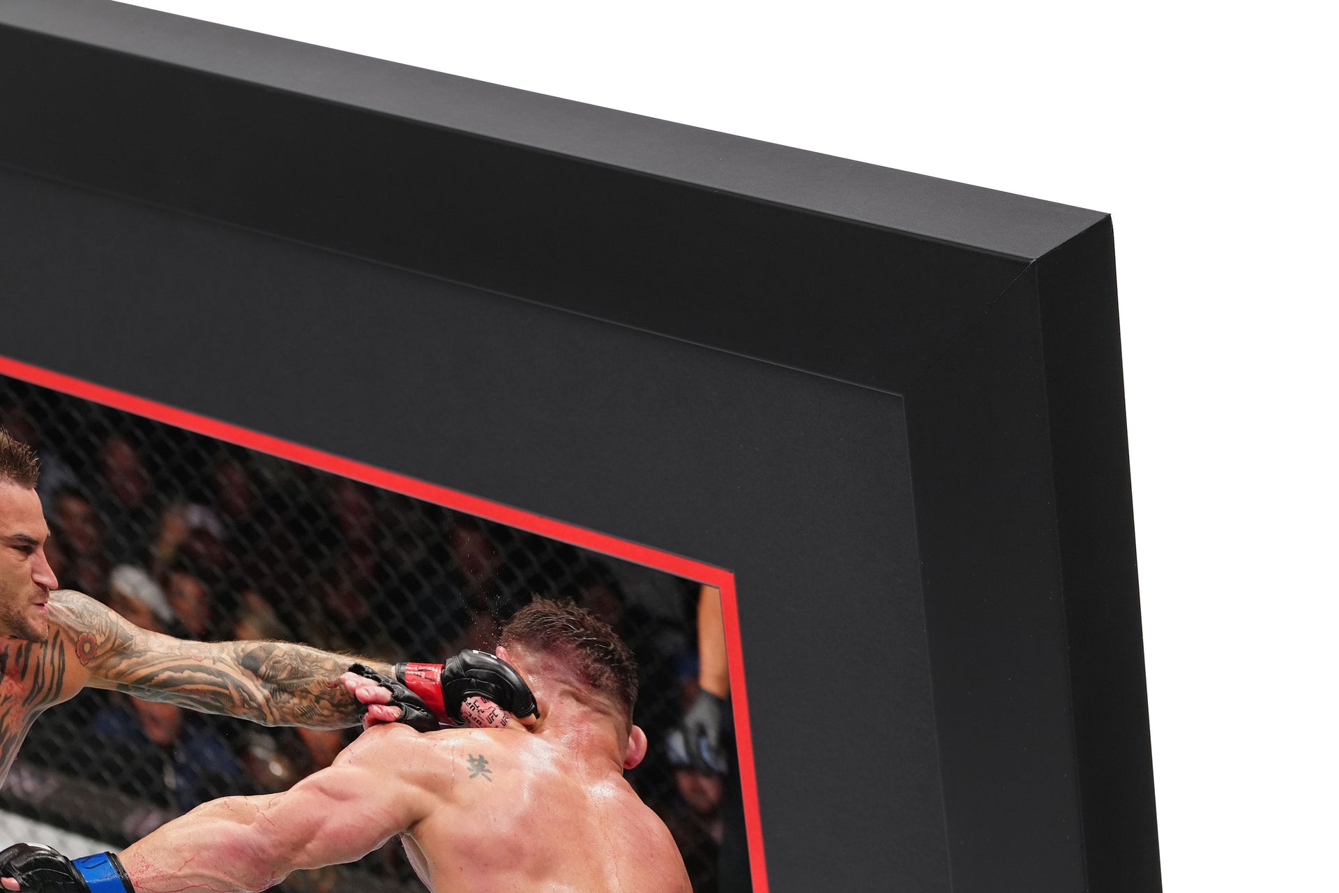 UFC 281: Poirier vs Chandler Canvas & Photo