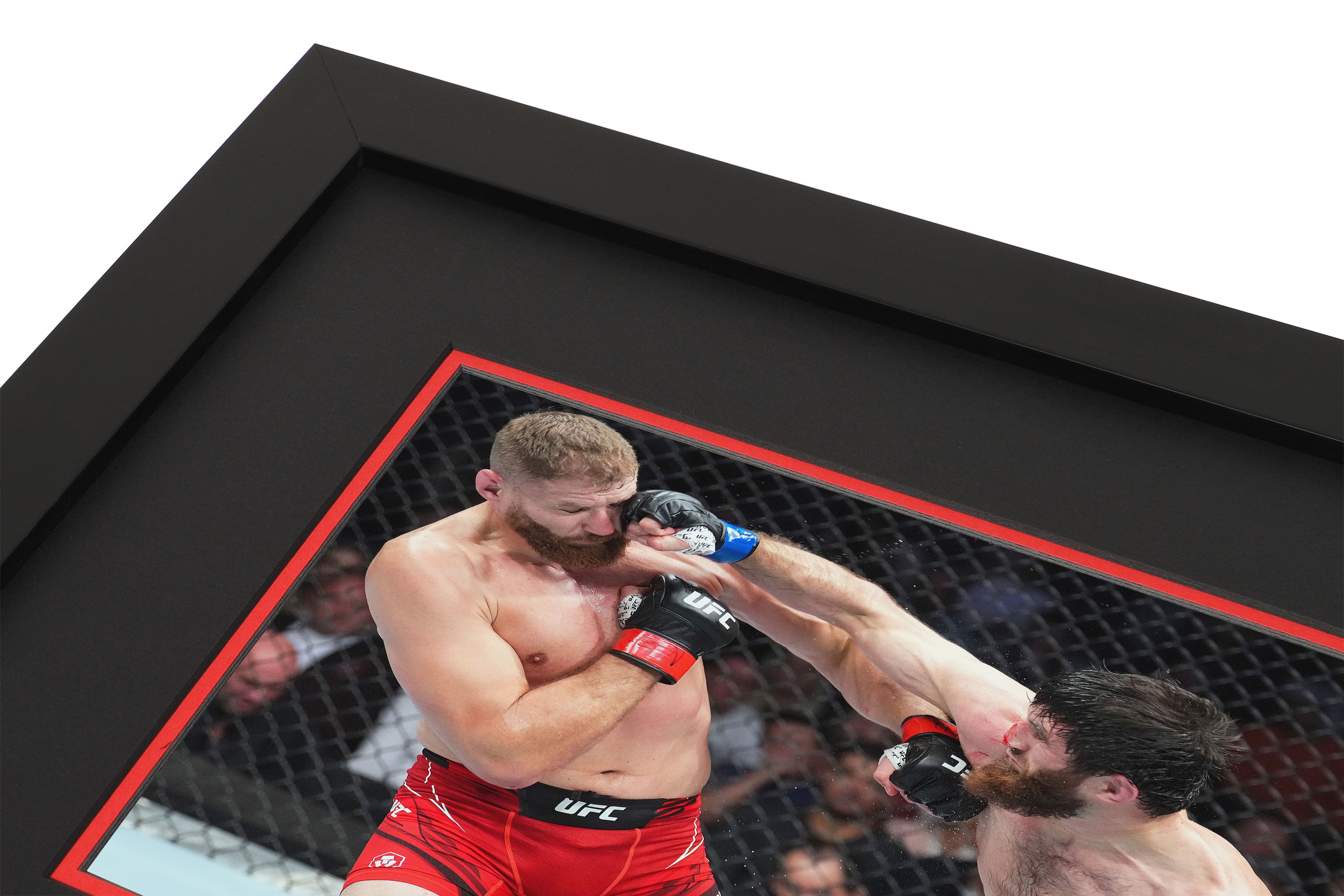 UFC 282: Jan Błachowicz vs Magomed Ankalaev Canvas & Photo
