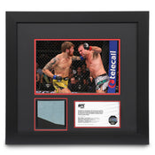 UFC 283: Rua vs Potieria Canvas & Photo