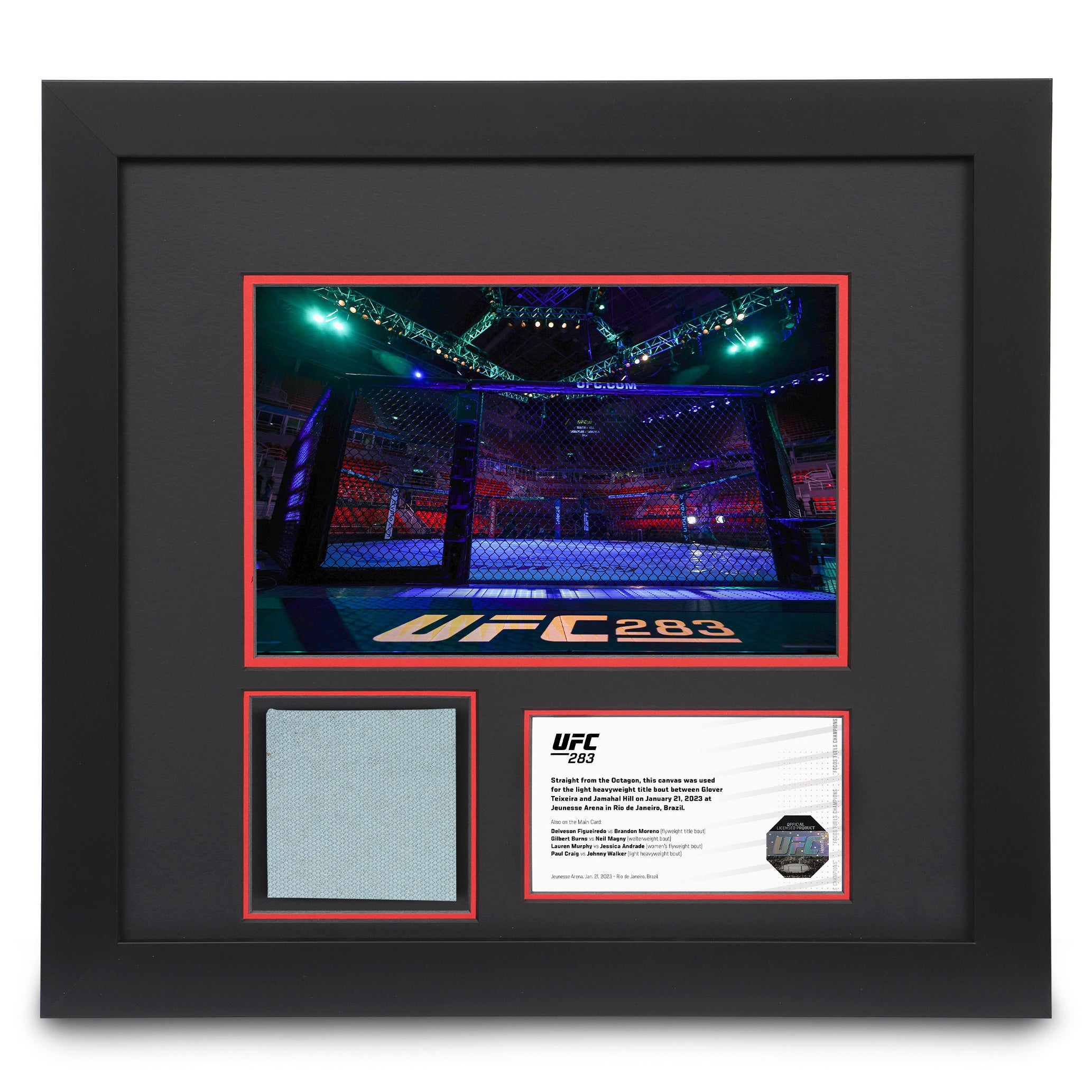 UFC 283: Event Canvas & Photo