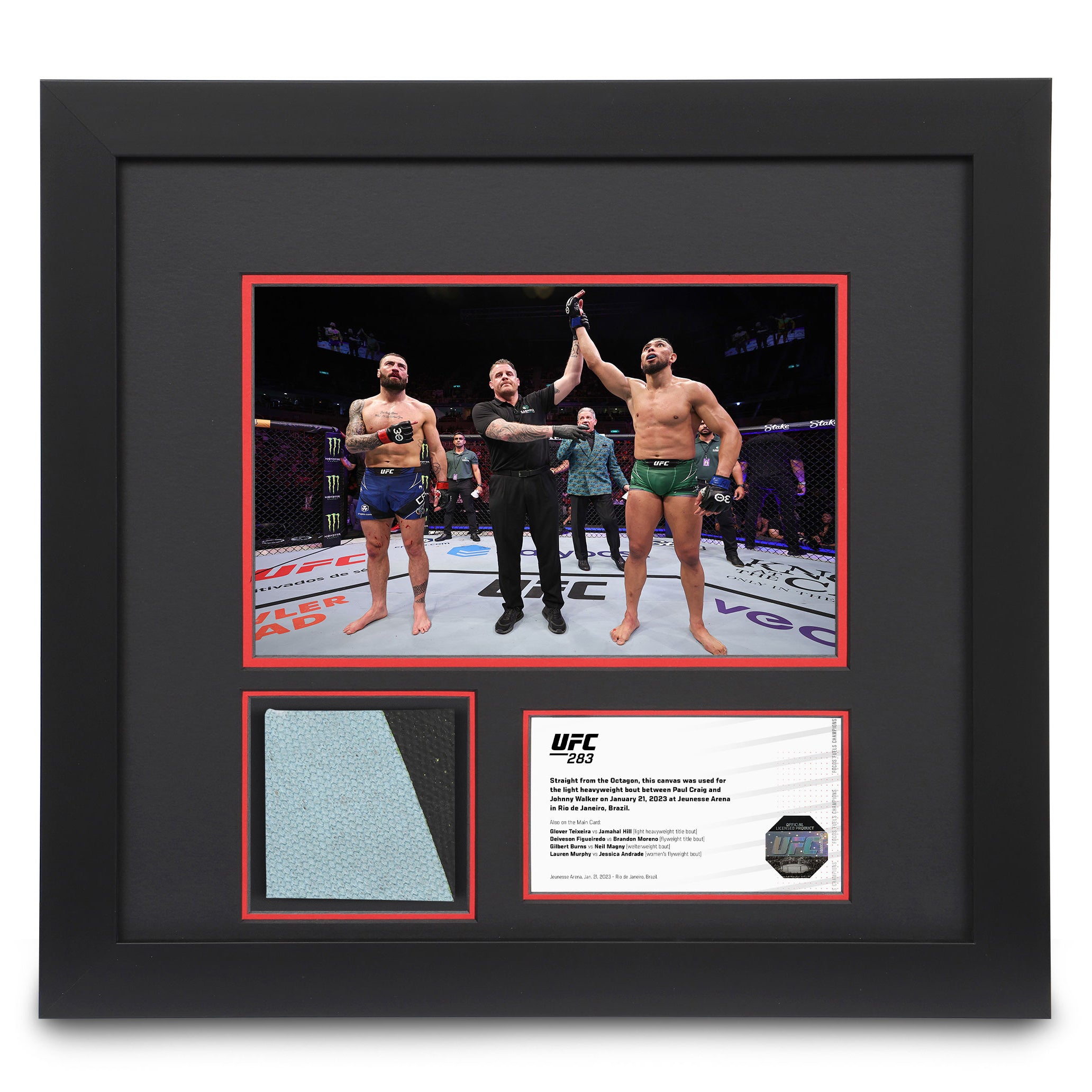 UFC 283: Craig vs Walker Canvas & Photo
