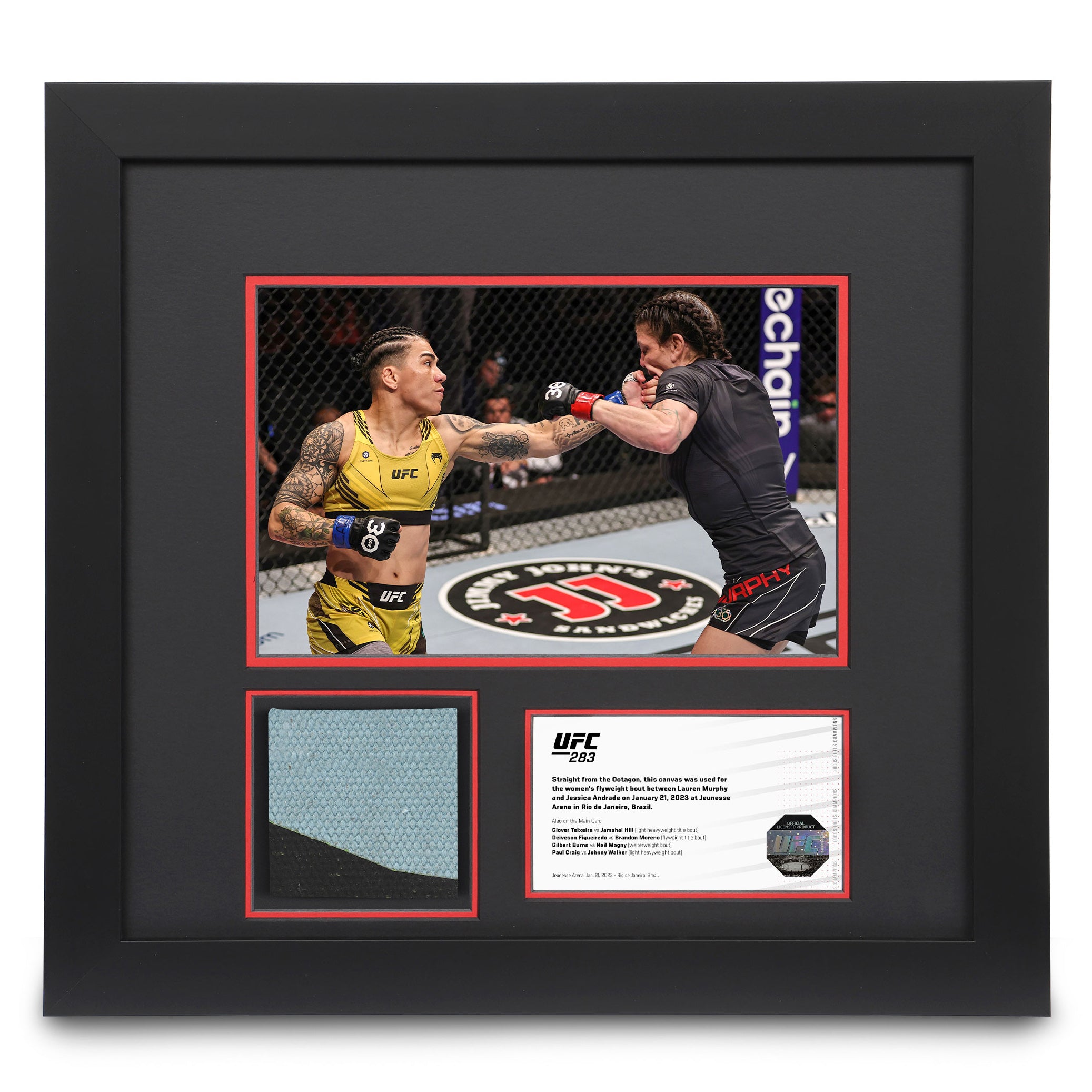 UFC 283: Andrade vs Murphy Canvas & Photo
