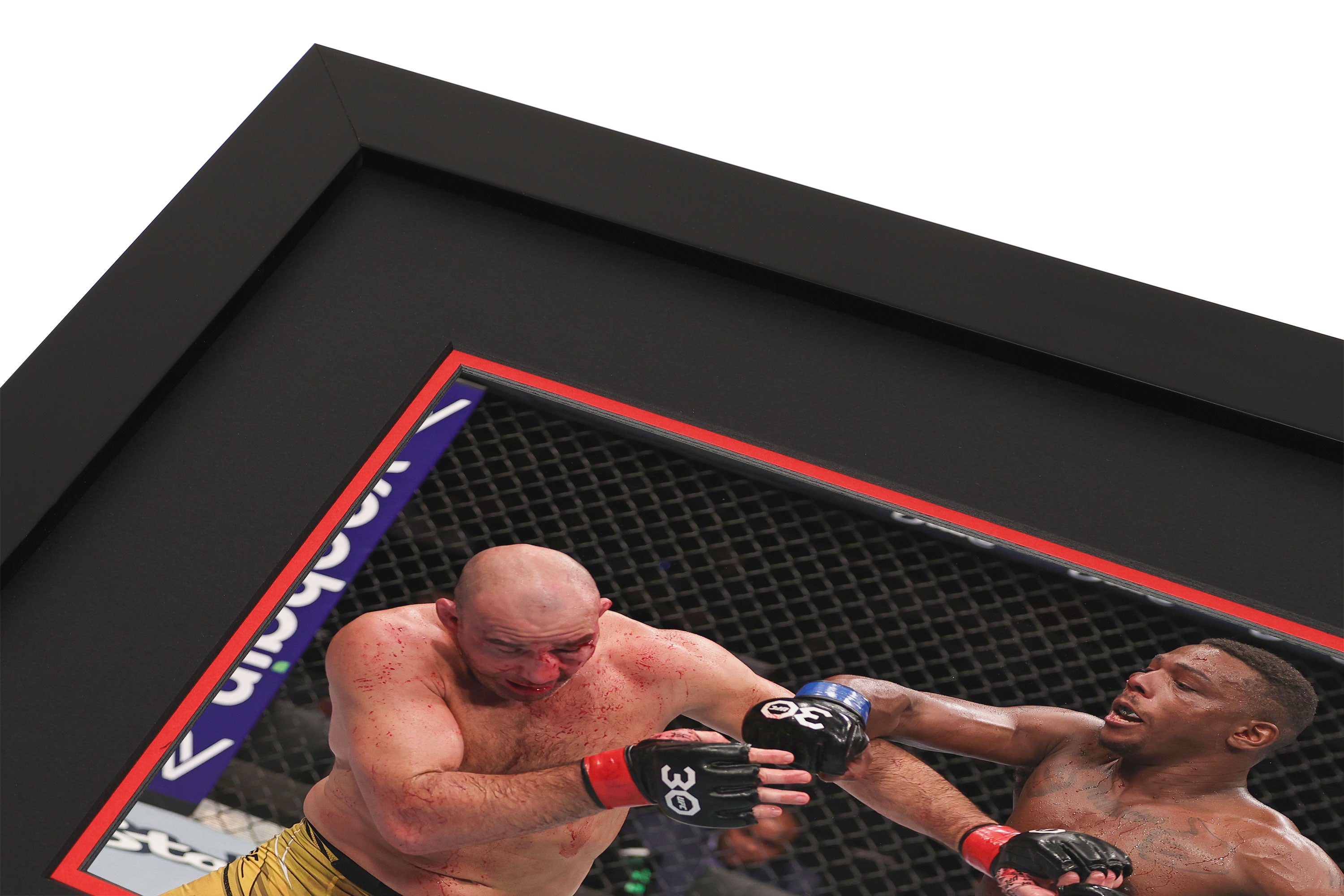 UFC 283: Teixeira vs Hill Canvas & Photo