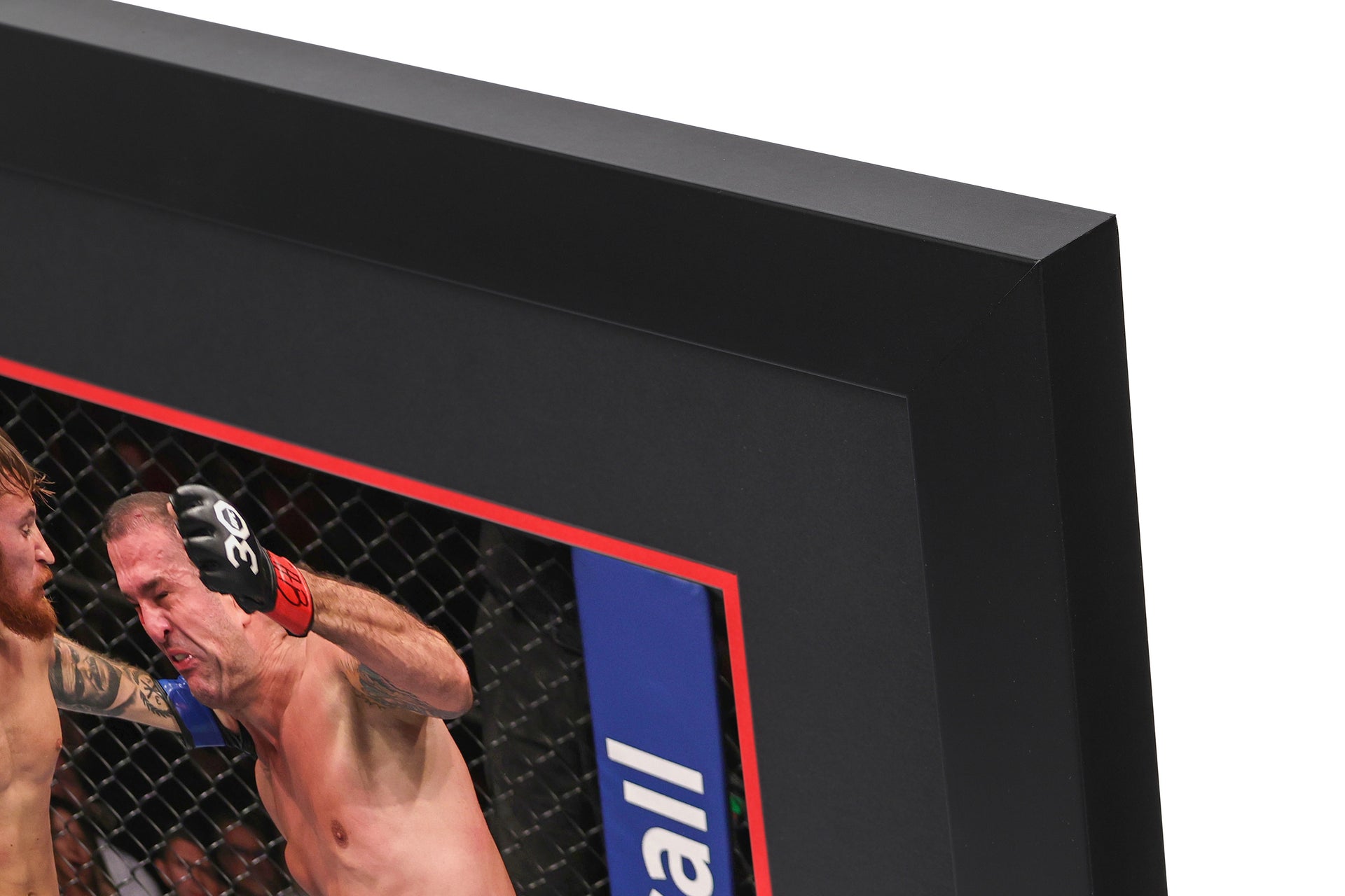 UFC 283: Rua vs Potieria Canvas & Photo