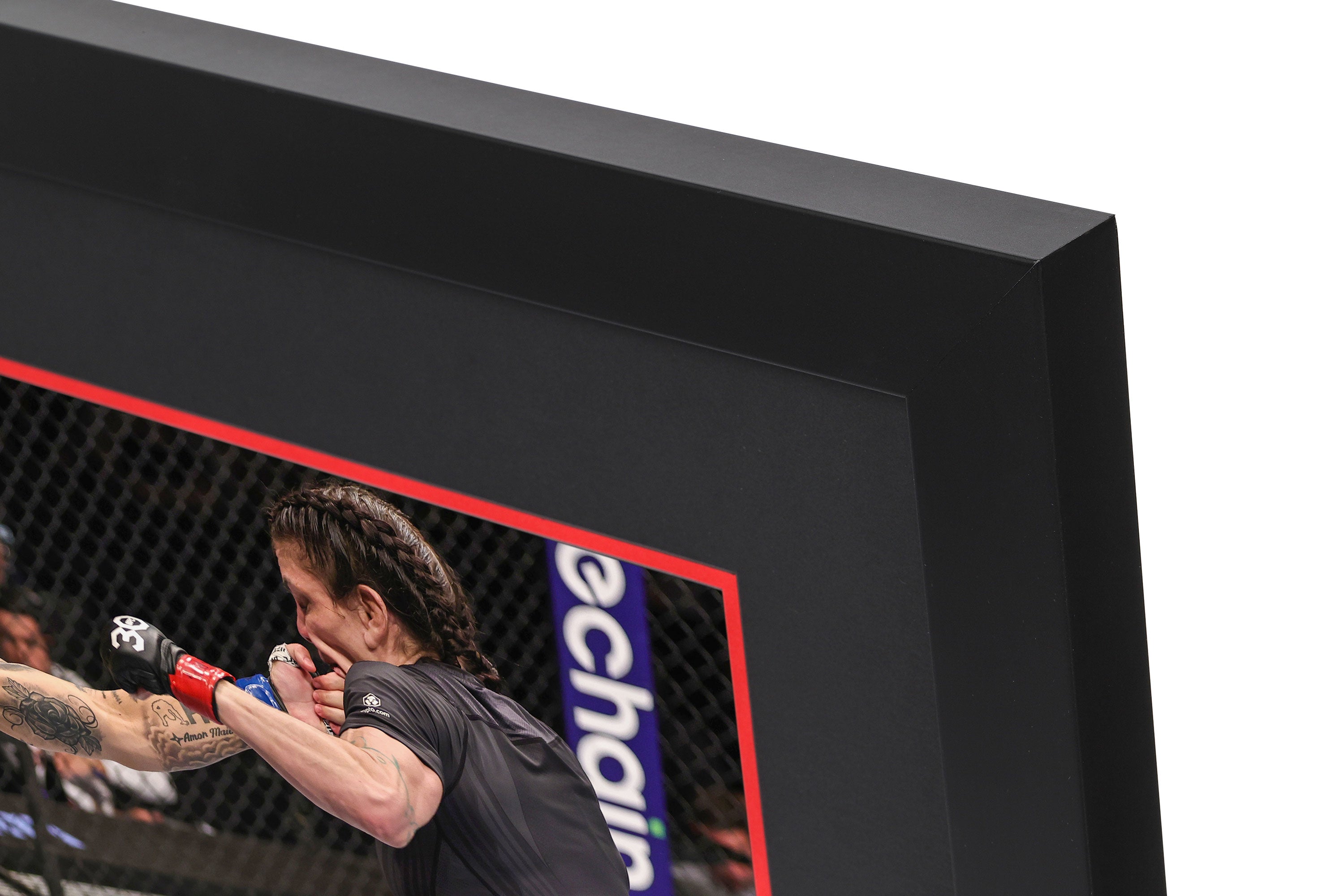 UFC 283: Andrade vs Murphy Canvas & Photo