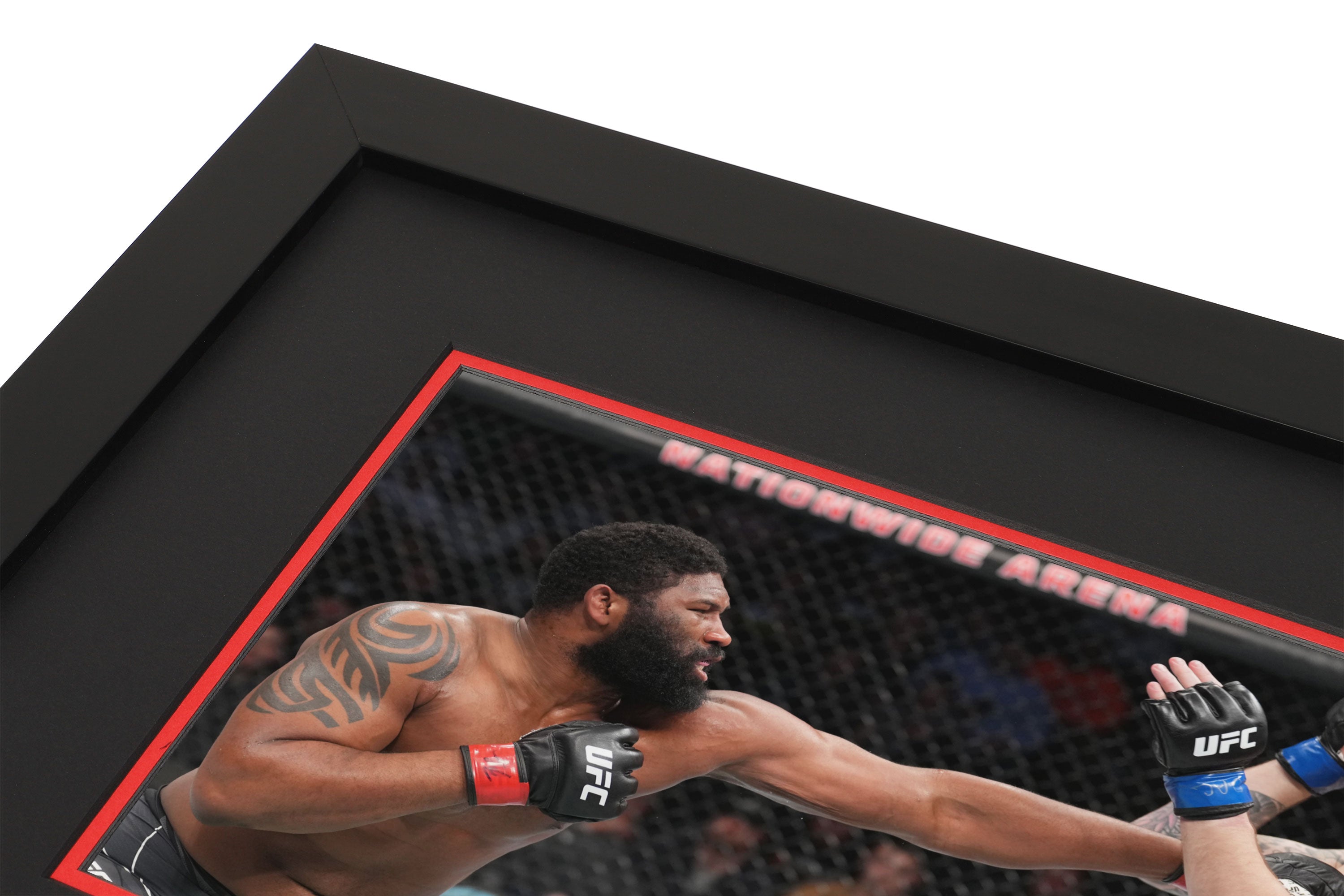 UFC Fight Night: Blaydes vs Daukaus 2022 Canvas & Photo