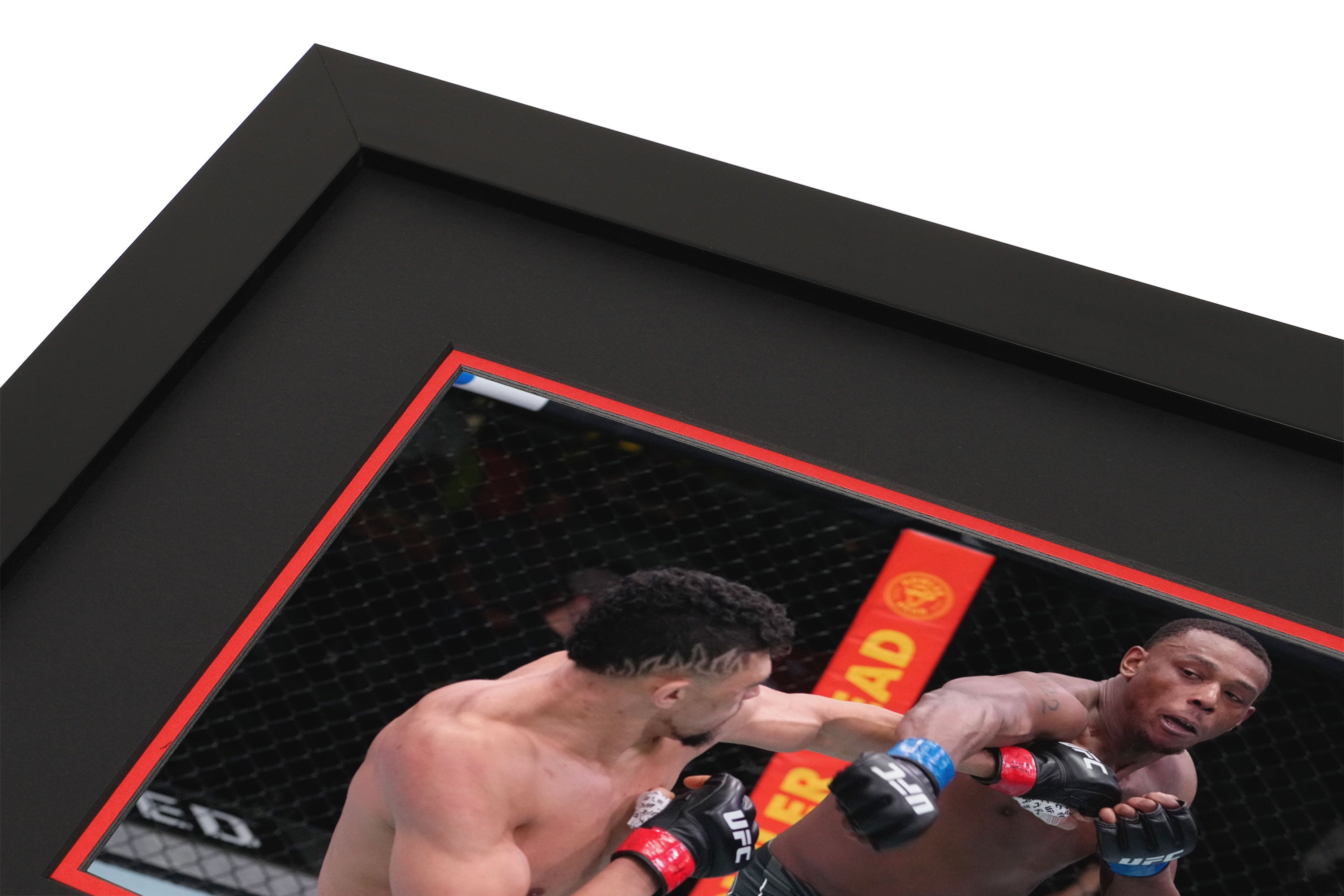 UFC Fight Night: Walker vs Hill 2022 Canvas & Photo