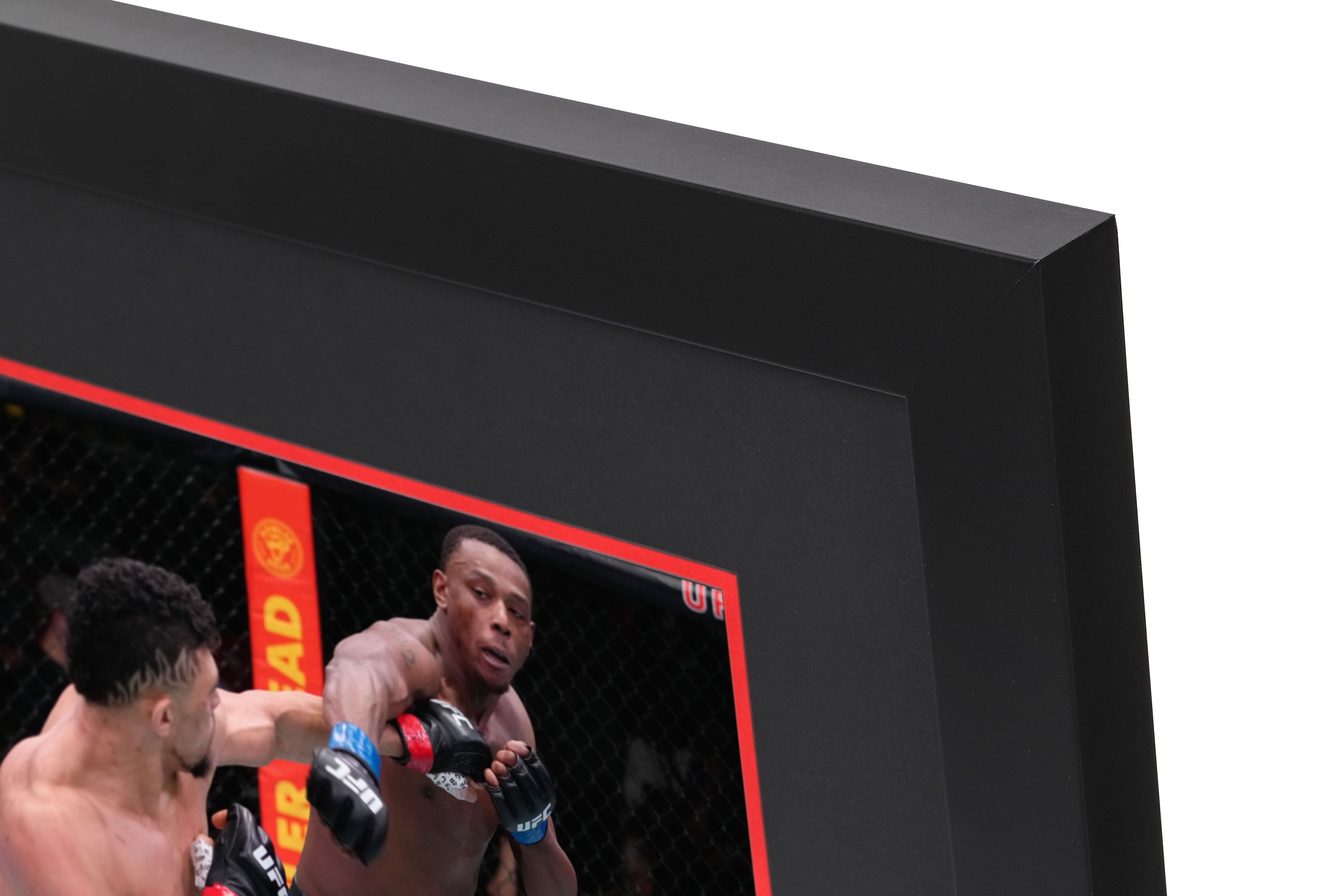 UFC Fight Night: Walker vs Hill 2022 Canvas & Photo