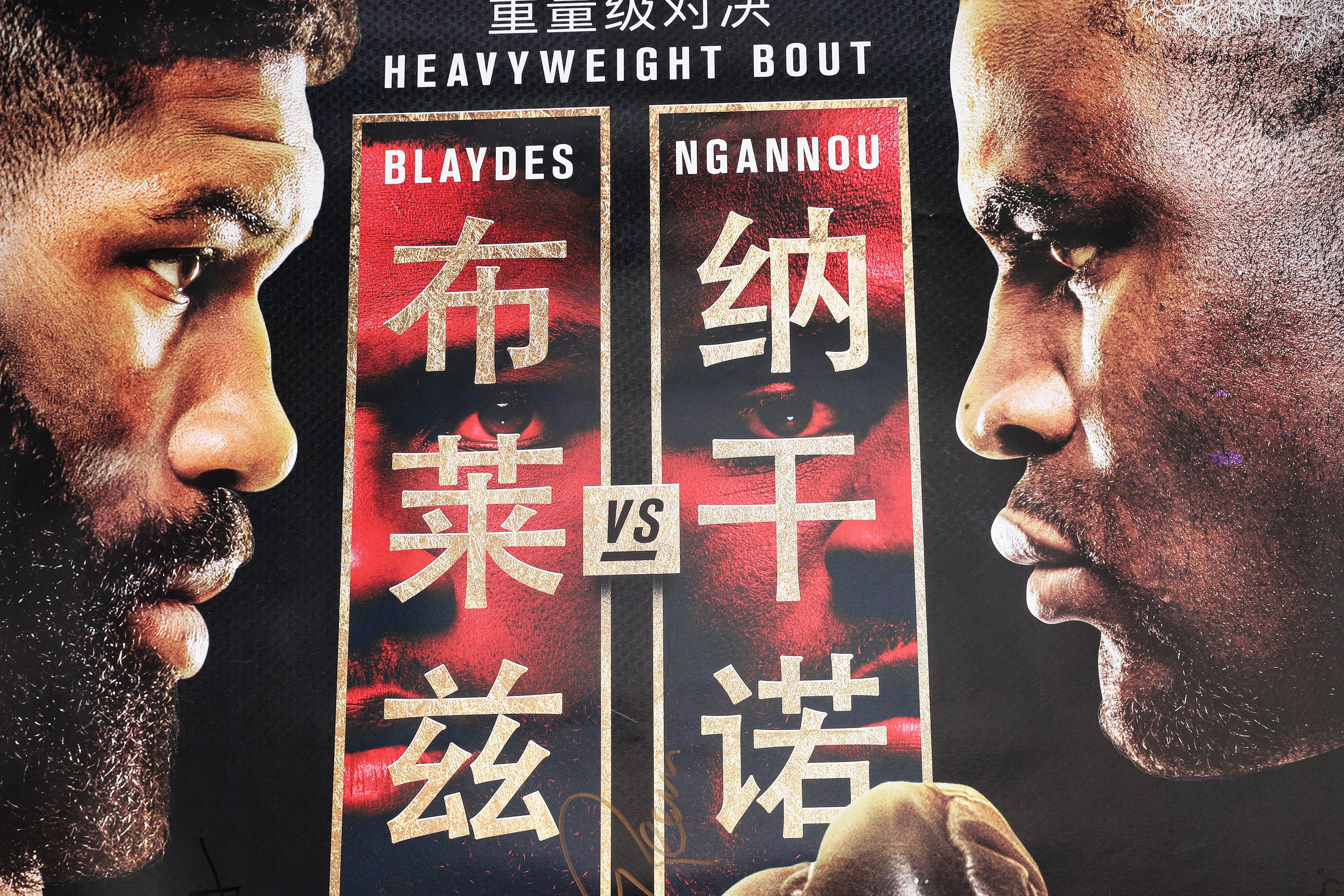 UFC Fight Night: Blaydes vs Ngannou 2 (FN 141) Autographed Event Poster